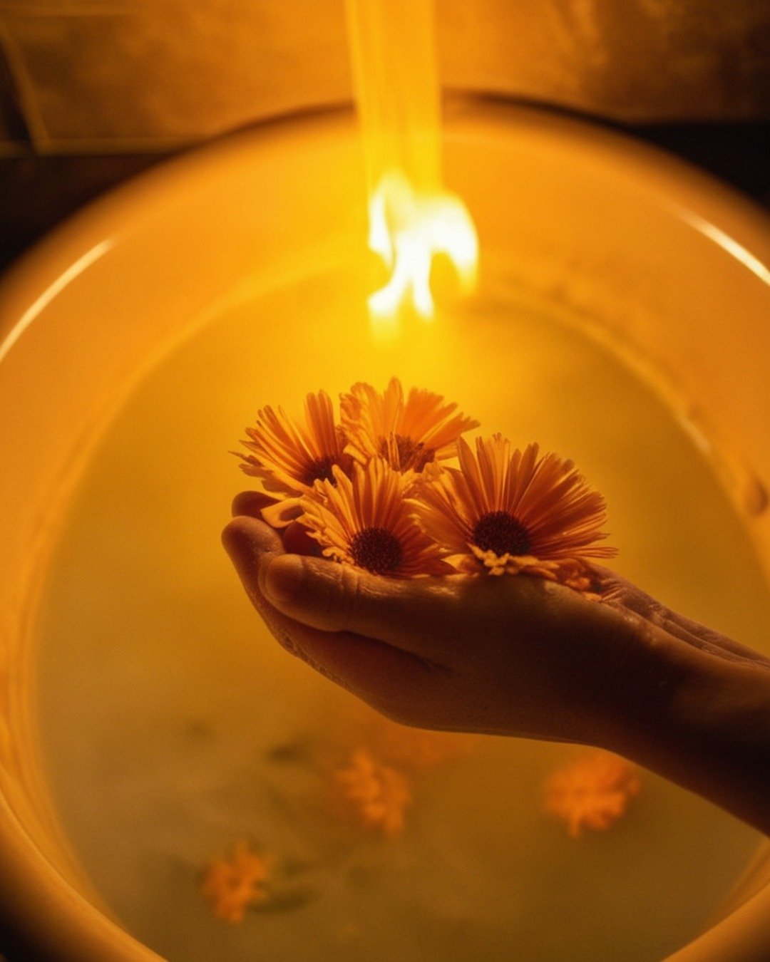 Calêndula revela segredo da prosperidade: ritual que funciona